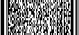 PDF417 Image - 2D Bar Code Symbology (200 characters encoded)