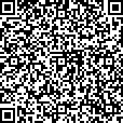 QR Code Image - 2D Bar Code Symbology (200 characters encoded)