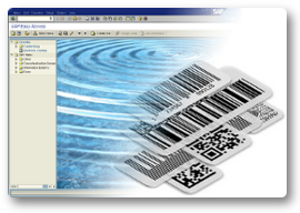Print Linear and 2D Bar Codes* within SAP ERP, R/3 and mySAP ERP