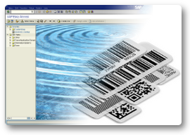 Erstellen und Drucken Sie lineare und 2D Codes* in SAP ERP, R/3 und mySAP ERP Systemen